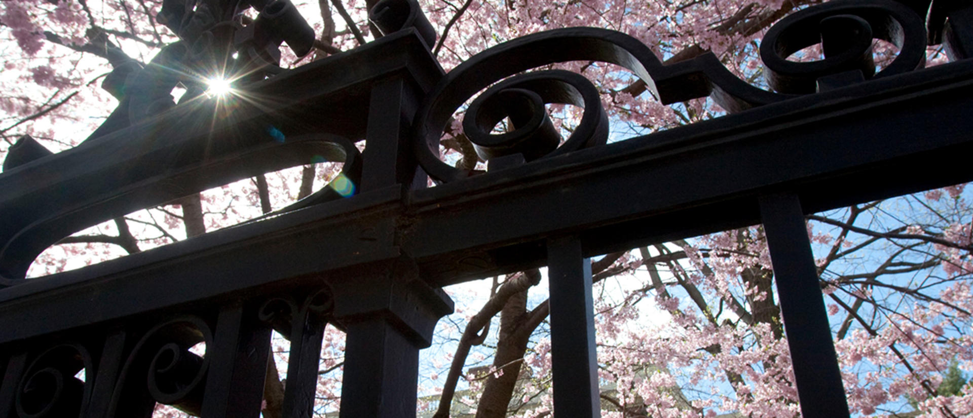 harvard gate